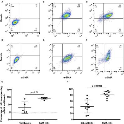 Asthmatic Bronchial Matrices Determine the Gene Expression and Behavior of Smooth Muscle Cells in a 3D Culture Model